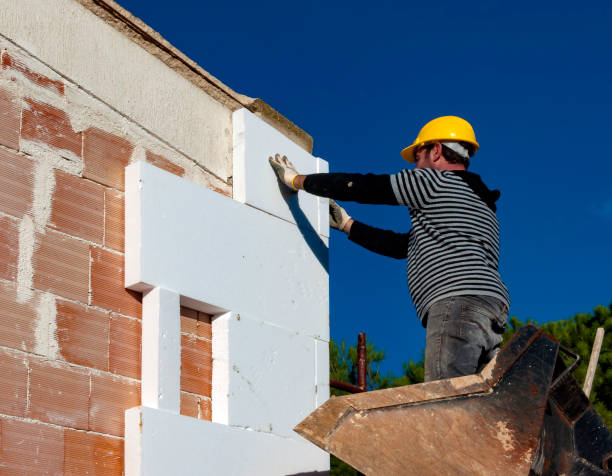 Best Energy-efficient Insulation  in Verdi, NV