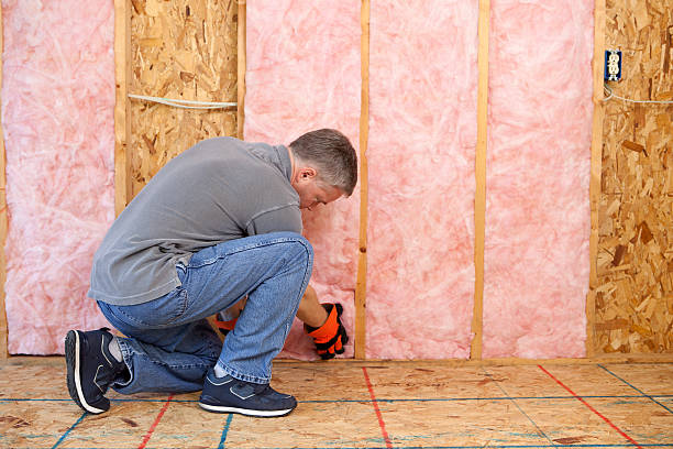 Best Insulation Replacement Services  in Verdi, NV