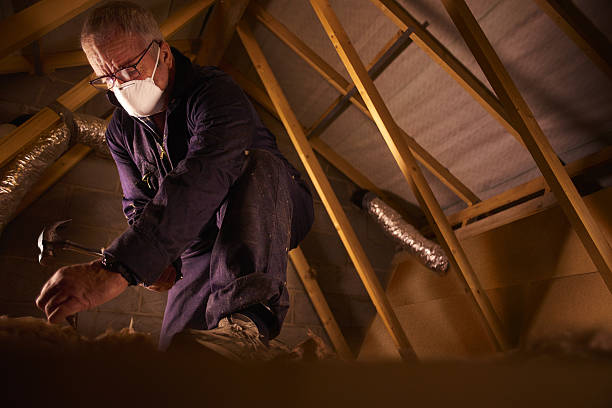 Insulation Repair Services in Verdi, NV